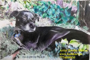 Pet Portrait Drawing - 16" x 24"