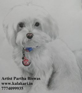 pet drawing from photo