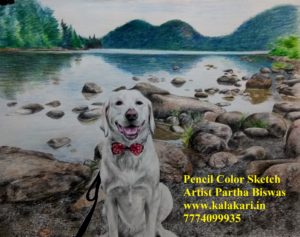 Pet portrait painting - 14" x 14"