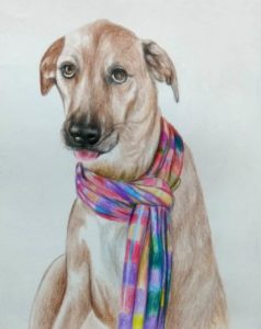 The dog portrait artist