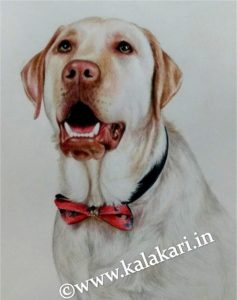 Handmade color pencil artworks