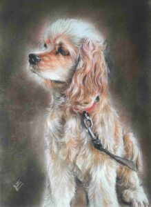 pet portrait color pencil art. handmade color pencil sketch drawing.