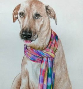The dog portrait artist