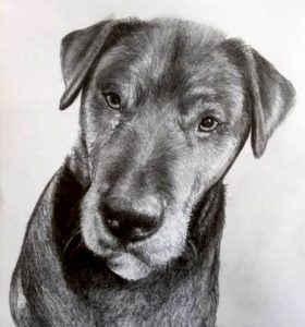 Dog sketch portrait